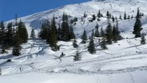 Acces ilegal cu snowmobile în Parcul Național Munții Rodnei. Un senator cere intervenția autorităților