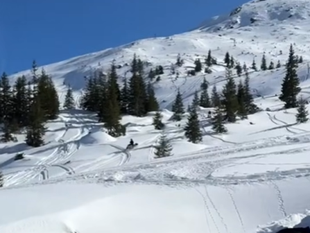 Acces ilegal cu snowmobile în Parcul Național Munții Rodnei. Un senator cere intervenția autorităților