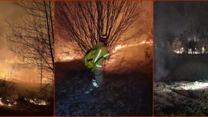 Arde Valea Aleului! Pompierii au protejat casele de vacanță din zonă