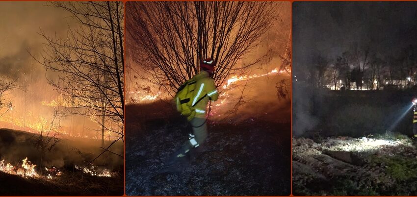 Arde Valea Aleului! Pompierii au protejat casele de vacanță din zonă