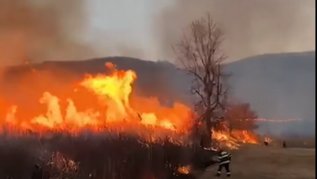 Incendiu pe 40 de hectare de pădure