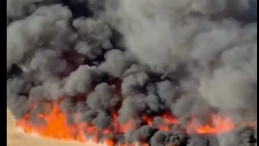 Incendii de vegetație devastatoare în țară