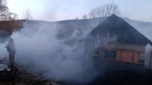 Incendiu de proporții: anexe gospodărești distruse și mai multe animale moarte!