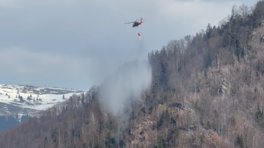 Lupta cu flăcările la Parva s-a încheiat: Pădurea este acum în siguranță | VIDEO