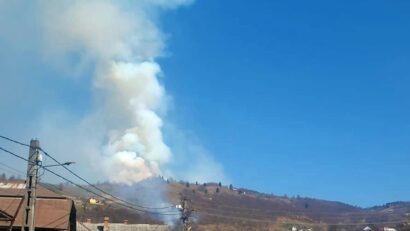 10 hectare de pădure de fag au fost cuprinse de flăcări