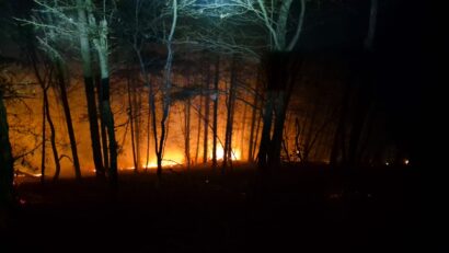 Amenzi de peste 10.000 de lei după incendiile de vegetație din Maramureș