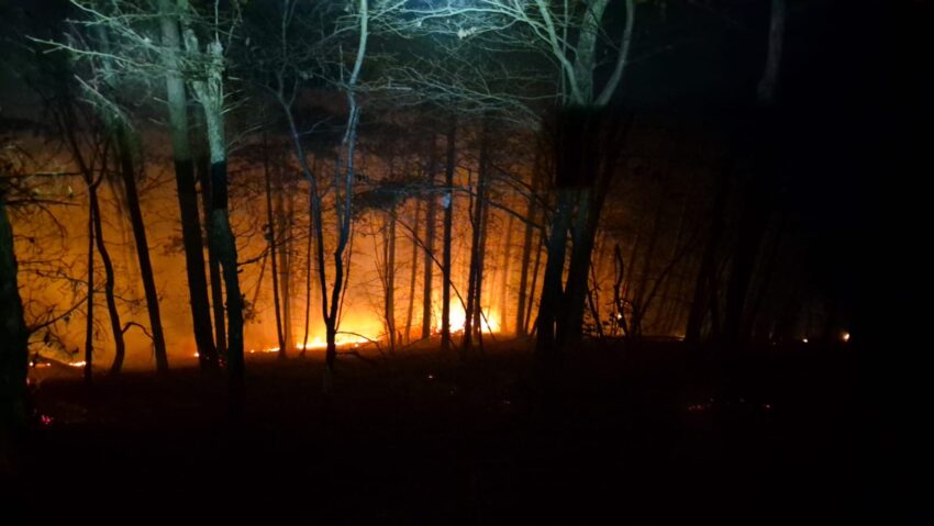 Amenzi de peste 10.000 de lei după incendiile de vegetație din Maramureș