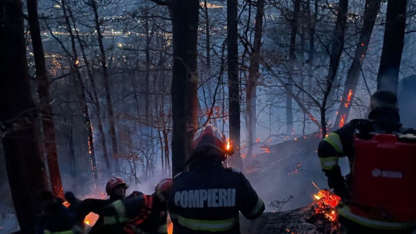 Incendii de vegetație în Maramureș. Pompierii au intervenit în Baia Mare și Rozavlea