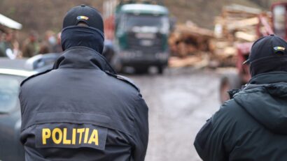 Mafia lemnului, luată la control