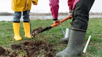 Clujenii pun bazele unei livezi urbane în Iris și Someșeni
