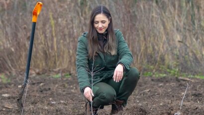 Romsilva plantează 25 de milioane de puieți