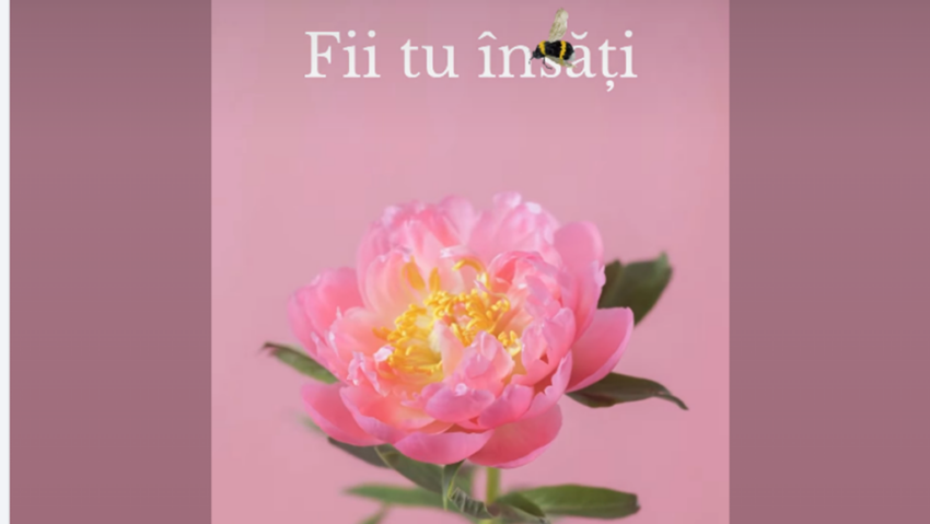 Campanie într-un spital public – ”#Sănătate cu speranță la feminin”