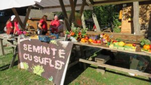 Muzeul ASTRA aduce Floriile mai aproape de oameni