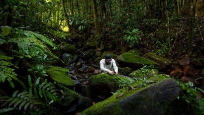 România intră în premieră pe harta globală a sunetelor naturii | AUDIO/ VIDEO