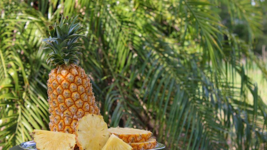 Ananasul, aliatul gustos al sănătăţii