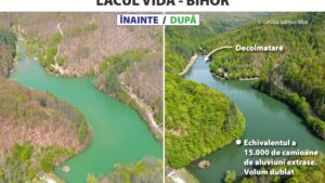Lacul Vida, salvat printr-o investiție europeană
