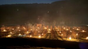 Pagube mari provocate de înghețul târziu asupra livezilor