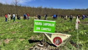 10.000 de stejari pentru ”Pădurea Campionilor”