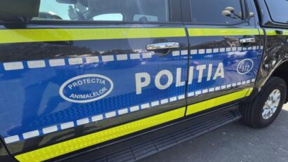 Un bărbat a fost reținut de poliție după ce a lovit un câine