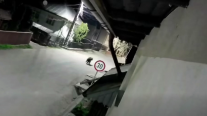 Tot mai mulți urși sunt văzuți noaptea pe străzi