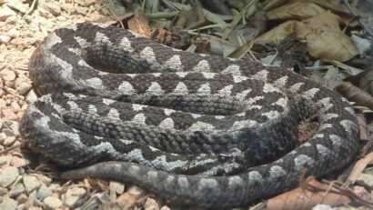 Avertisment pentru turiștii care aleg drumețiile montane