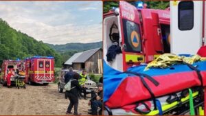 Alertă! Un bărbat a fost rănit grav de un urs | UPDATE