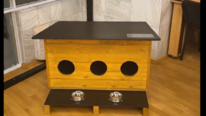 Căsuțe pentru pisici în cartiere