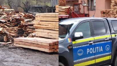 Amenzi și confiscări în urma controalelor forestiere