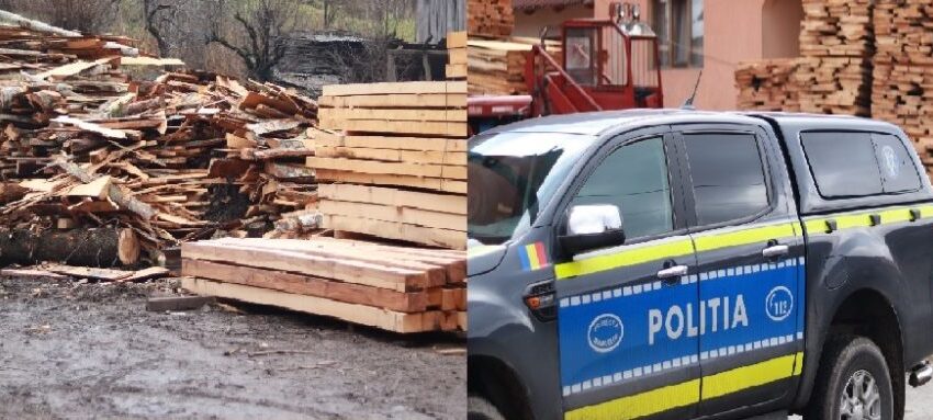 Amenzi și confiscări în urma controalelor forestiere