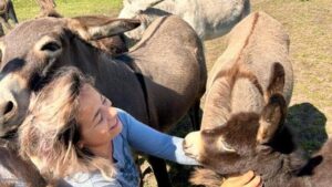 „Magic Donkey Land”- Copilăria cu miros de natură
