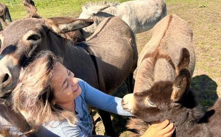 „Magic Donkey Land”- Copilăria cu miros de natură