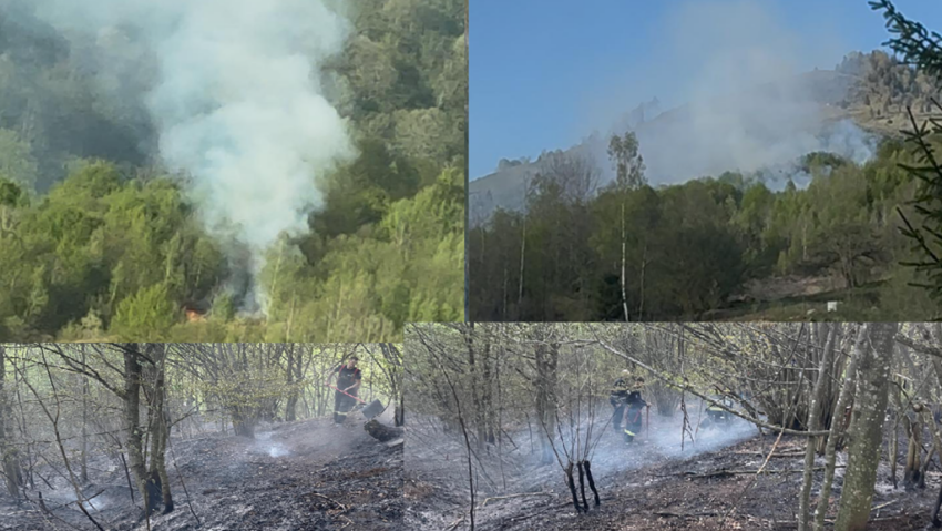 Incendiu de pădure pe valea Anieșului, comuna Maieru