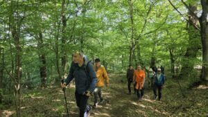 Pădurea, redată comunității prin noi trasee de promenadă