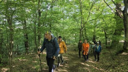 Pădurea, redată comunității prin noi trasee de promenadă