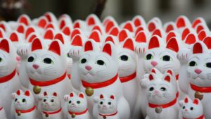 „Catnomics”: fascinația Japoniei pentru pisici valorează miliarde