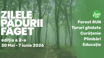 Drumeții și activități ecologice la Zilele Pădurii Făget