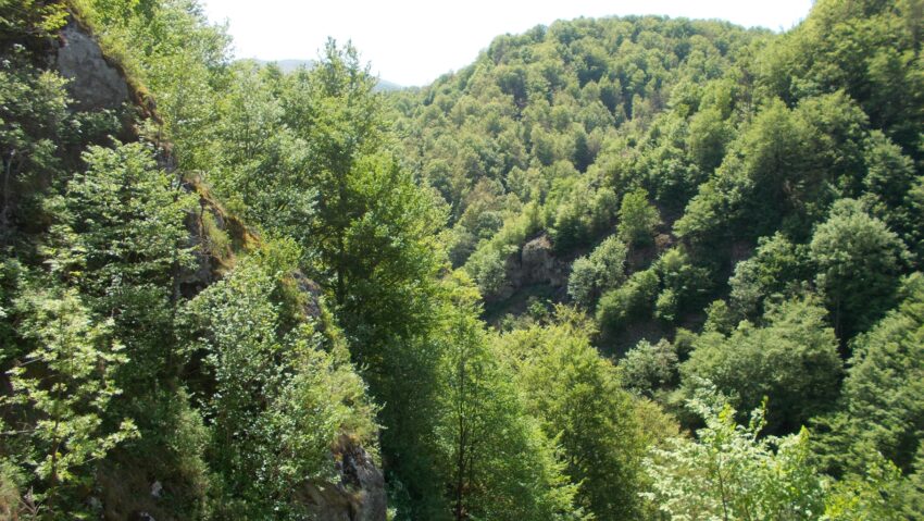 Noi arii protejate în România