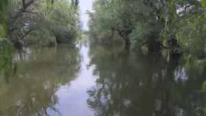 Delta Dunării, surprinsă într-un nou documentar | VIDEO