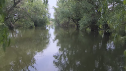 Delta Dunării, surprinsă într-un nou documentar | VIDEO