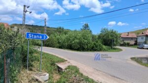 O zi de vacanță la Stana
