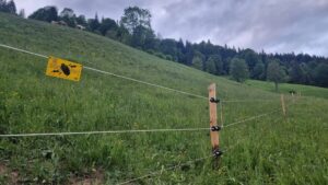 Localnicii își protejează singuri animalele