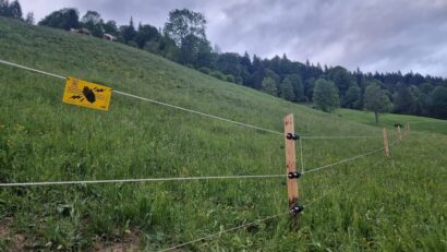 Localnicii își protejează singuri animalele