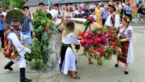 Obiceiul ”Înstruțatului Boului” de la Figa, Căianu Mic și Tăure