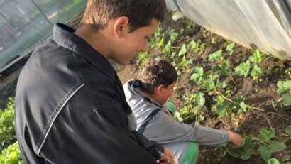 Schimbări importante în școli, chiar înainte de începerea anului