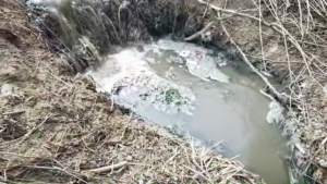Ape uzate deversate în Ier și Barcău