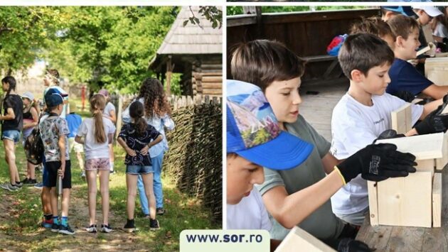 Școala de vară Grow Wild