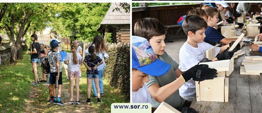 Școala de vară Grow Wild
