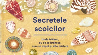 Sesam deschide cartea: Secretele scoicilor