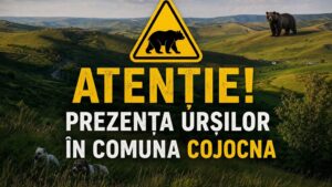 Urșii revin în zona Cojocna