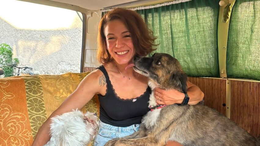 Adăpostul Andreea & Benji happy dogs la un pas de a fi închis